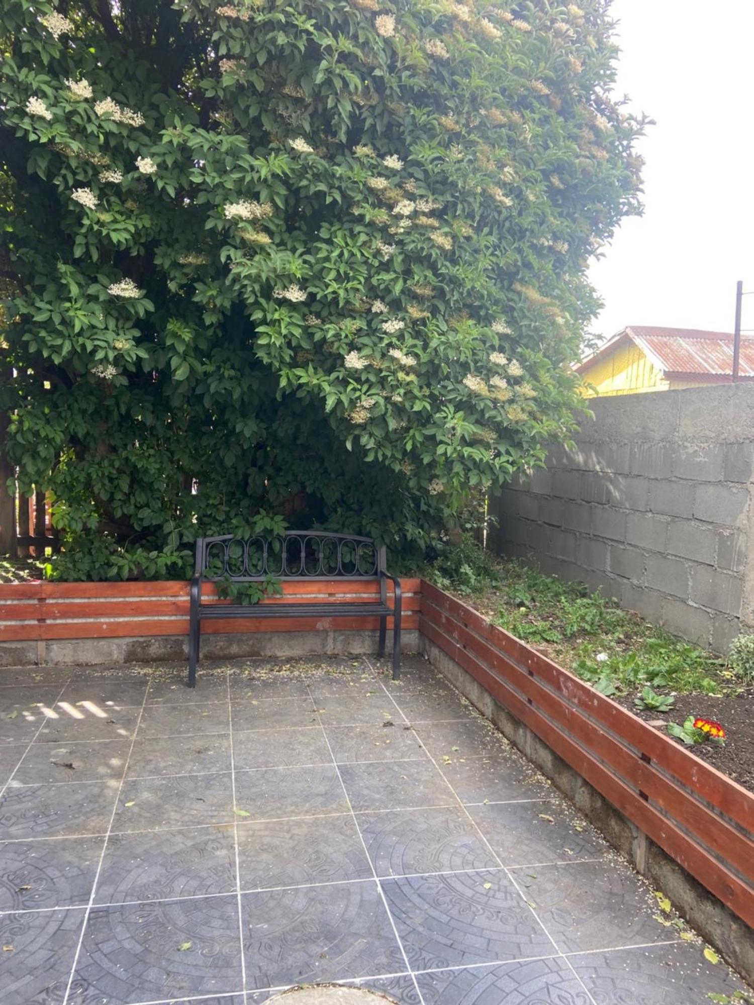 Cabanas Bosque Austral 蓬塔阿雷纳斯 外观 照片